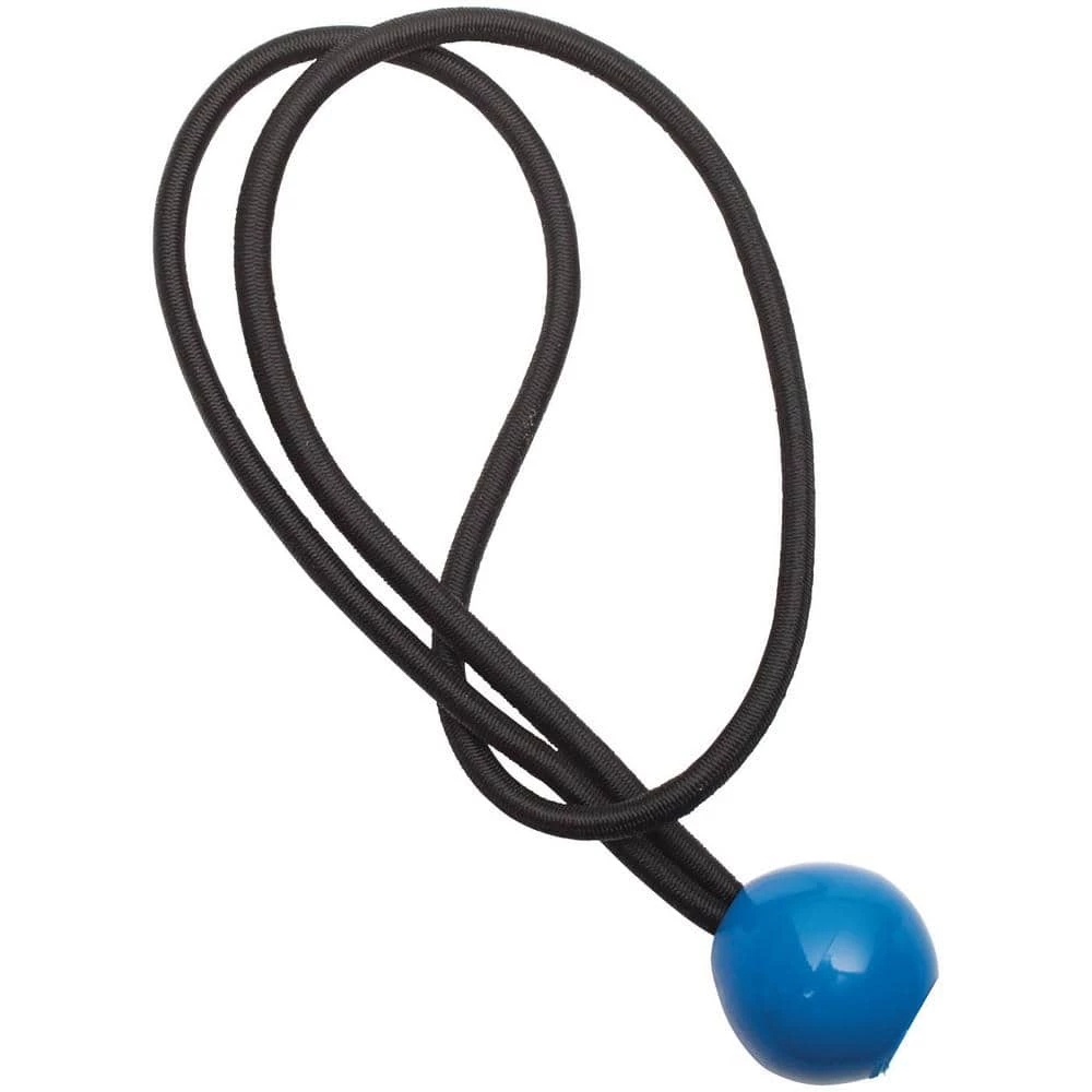 HDX 12 in. Canopy Tarp Bungee (8 pack) 6 HDX 12 in. Canopy Tarp Bungee (8 pack) - Image 6