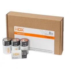 HDX Alkaline D Battery (12-Pack)