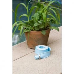 HDX 50 ft. x 2 in. Swimming Pool, Spa, and Hot Tub Backwash Hose -HDX Sales hdx pool hoses 69266 44 1000